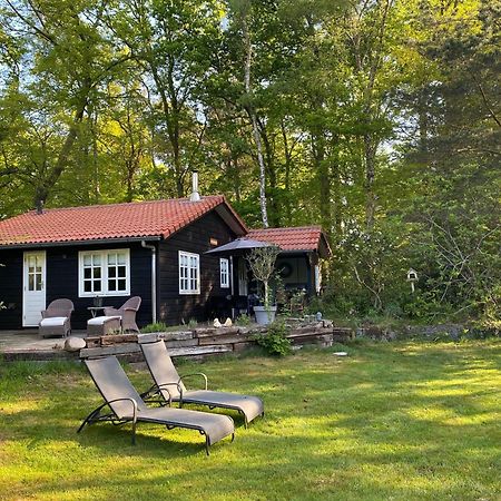 De Springop Villa Eefde Eksteriør bilde